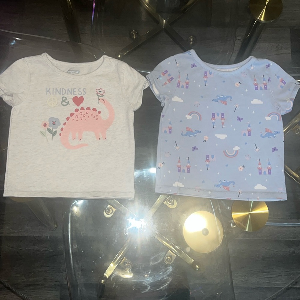 24 months girl  multi colored 2 piece tshirts set